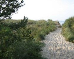 zejście na plażę